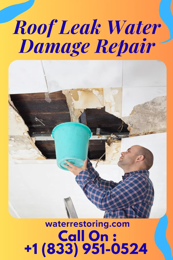 Roof Leak Water Damage Repair in Colorado Springs, CO